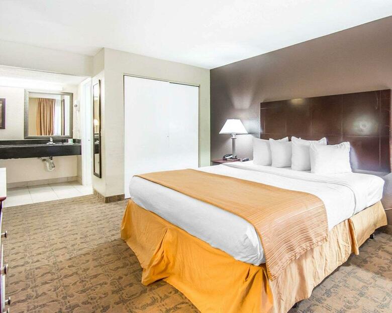 Hotel Quality Inn & Suites By The Parks
