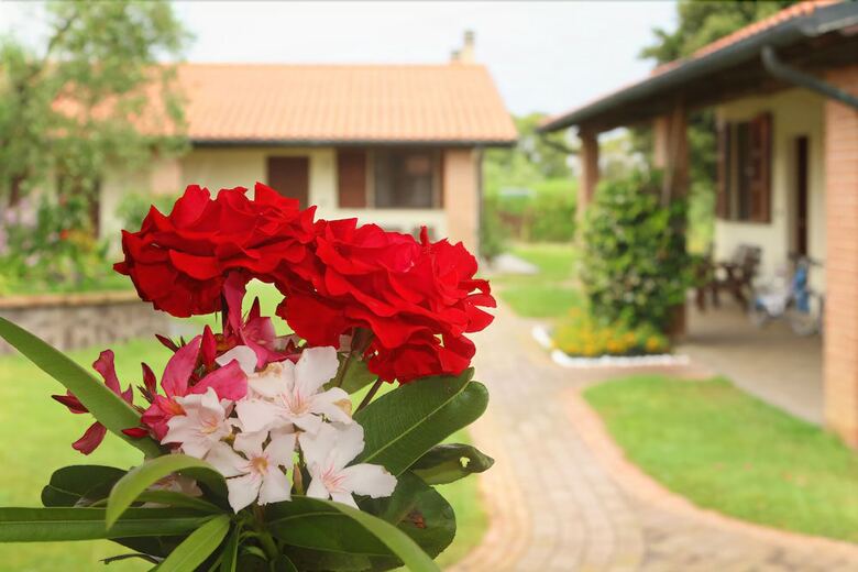Agroturismo Agriturismo Gli Etruschi