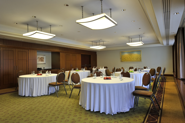 Hotel Hyatt Regency Warsaw