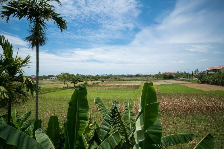 Hotel River Field Hoi An Homestay