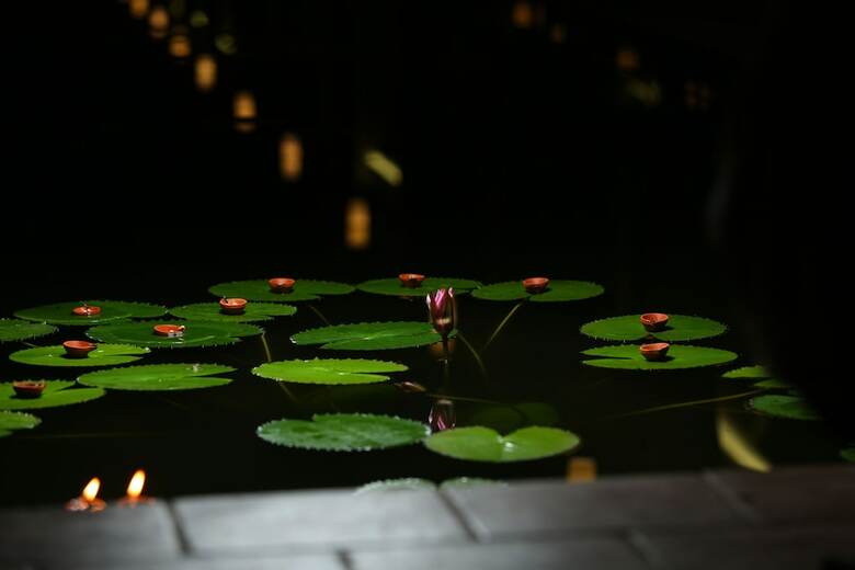 Hotel Sukhayus Wellness Ayurveda Retreat