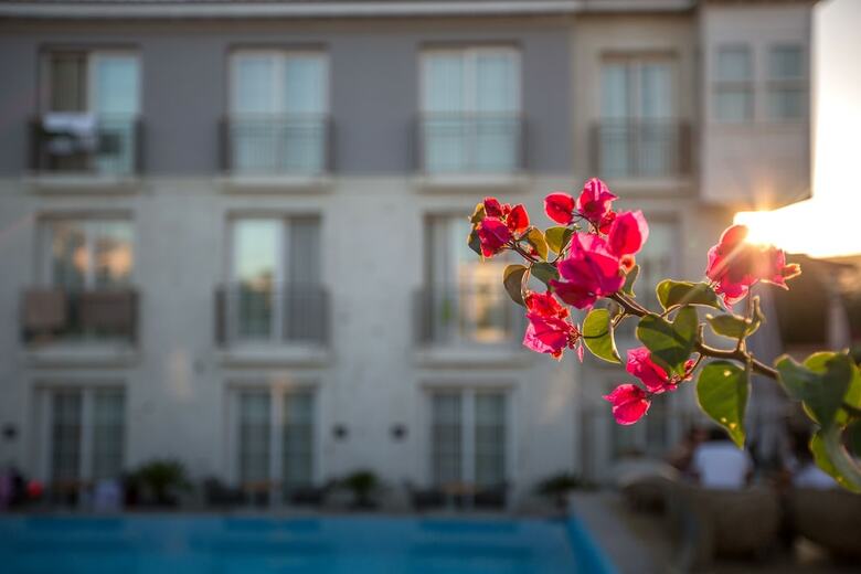 Hotel Alalucca Butik Otel - Adults Only