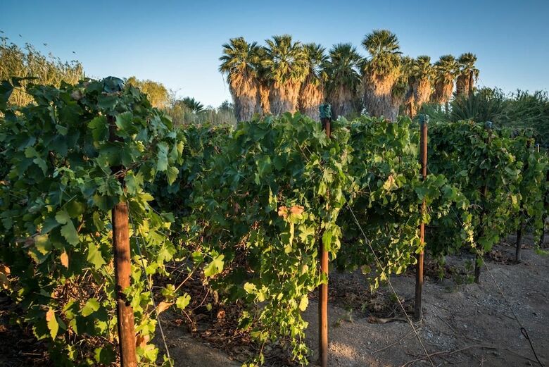 Hotel Neuras Wine & Wildlife Estate