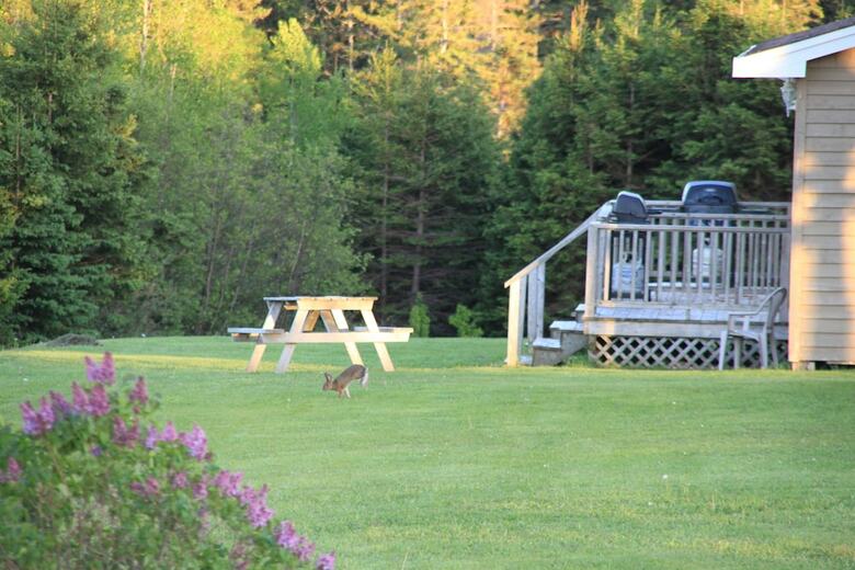 Rustico Acres Cottages