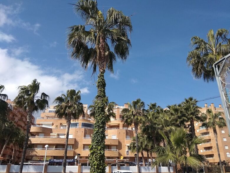 Apartamentos Acv - Isla Park-1� L�nea Planta 5 Sur