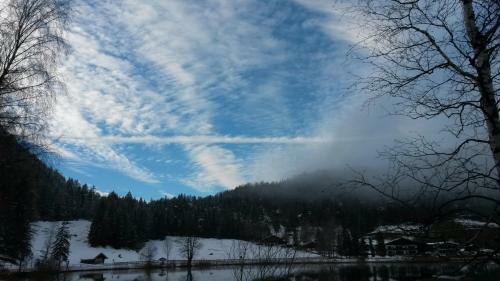 Hostal Pension Schwalbennestl