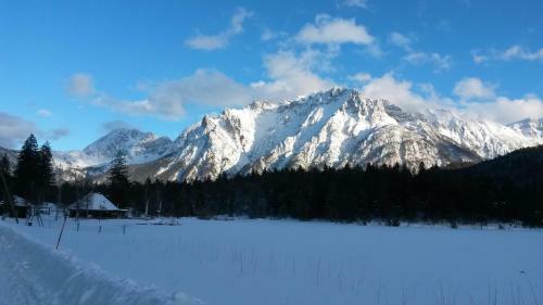 Hostal Pension Schwalbennestl