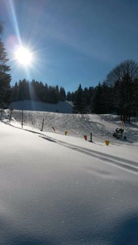 Hostal Pension Schwalbennestl