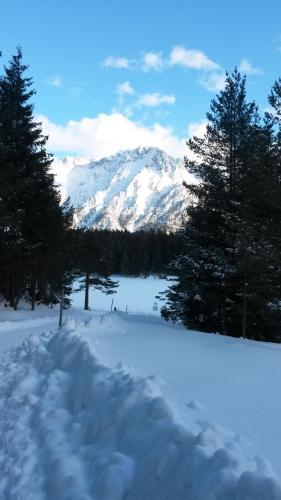 Hostal Pension Schwalbennestl