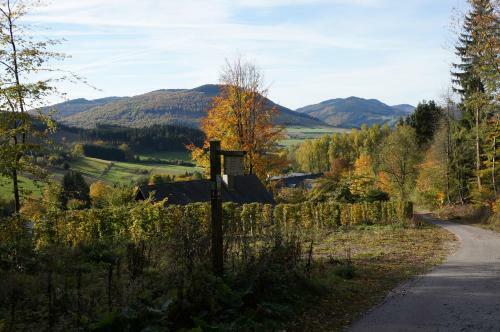 Waldhotel Schinkenwirt
