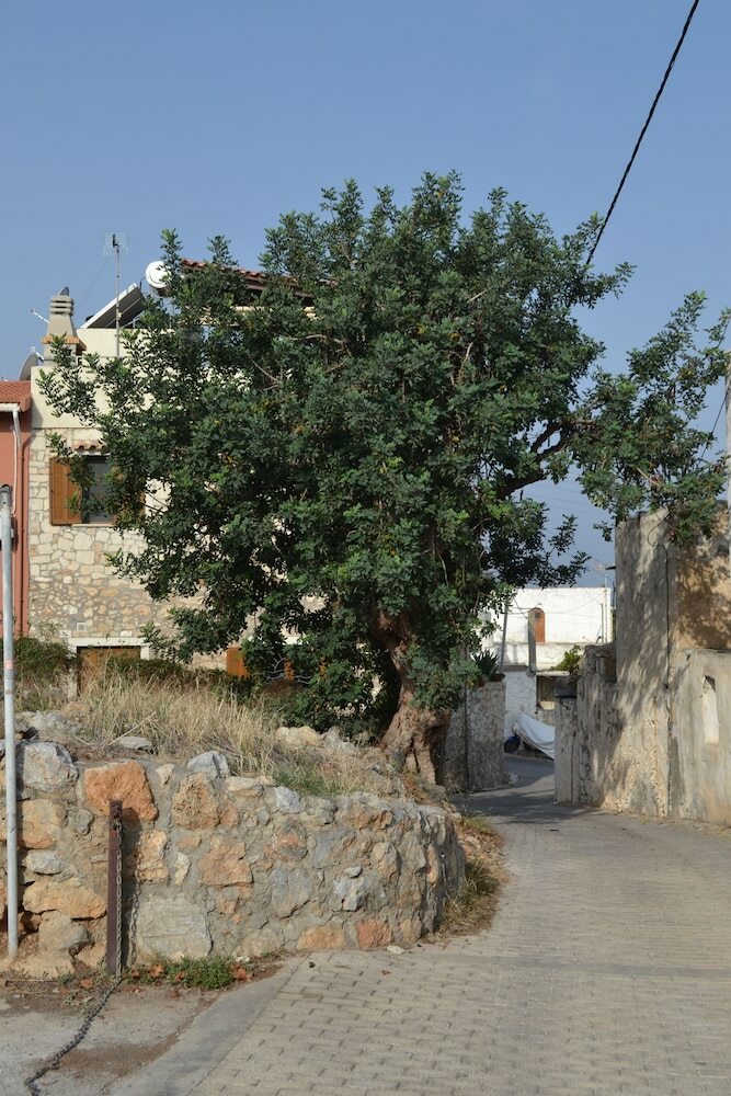 Creta Blue Boutique Hotel