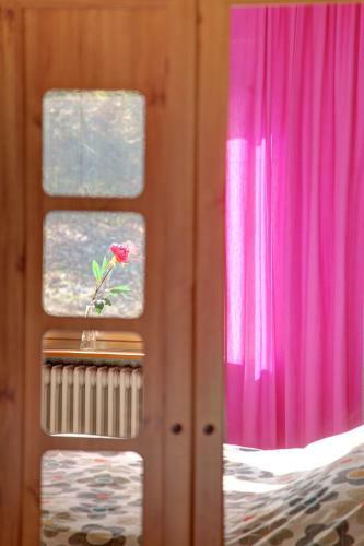 Bed & Breakfast Bollerberg