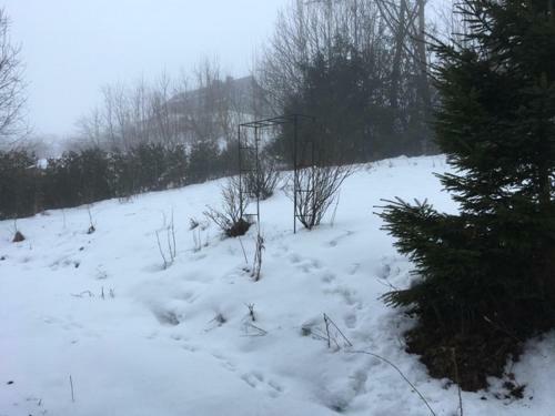 Bed & Breakfast Bollerberg
