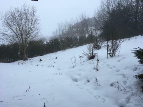Bed & Breakfast Bollerberg