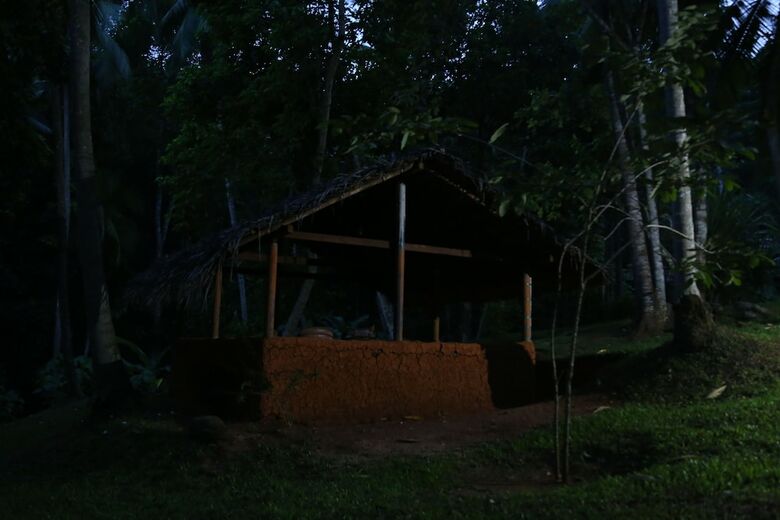 Hotel Tulip Of Ceylon