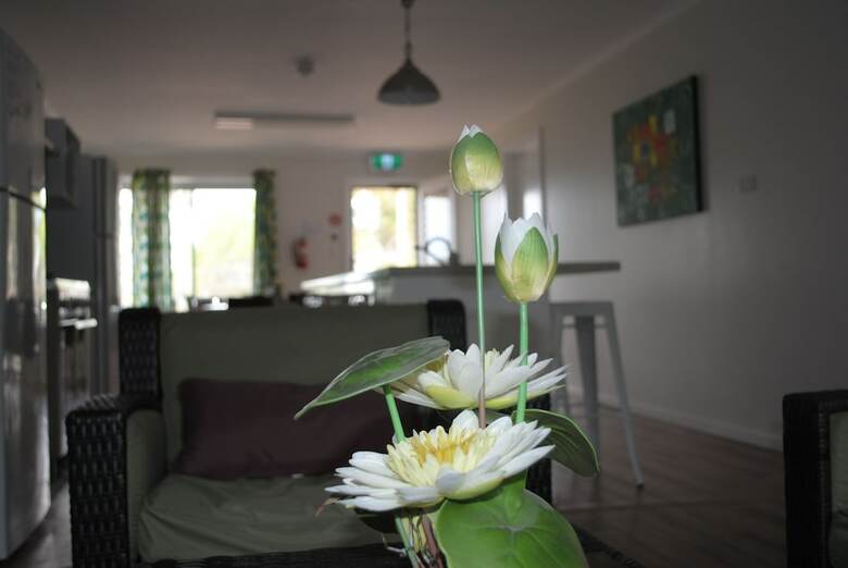 Cabana Padthaway Caravan Park