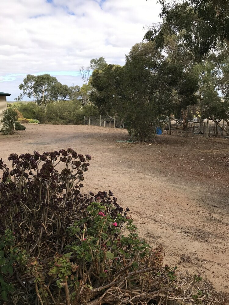 Cabana Padthaway Caravan Park