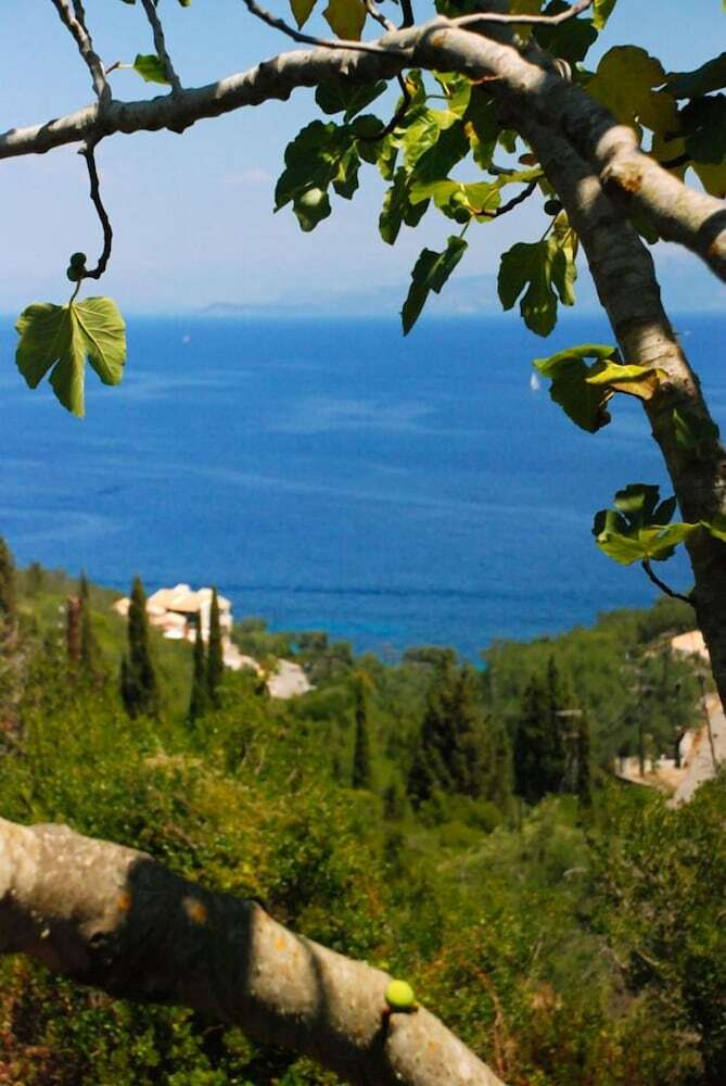 Hotel Angela Studios Paxos