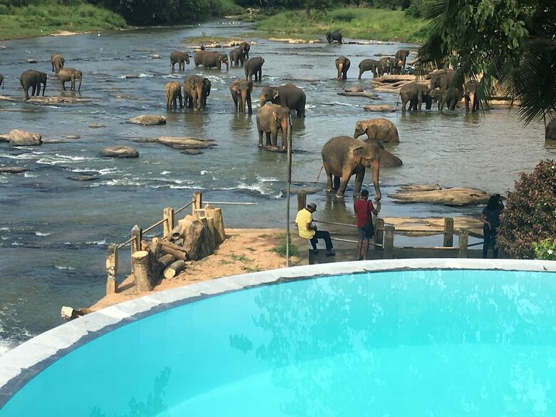 Hotel Elephant Bay