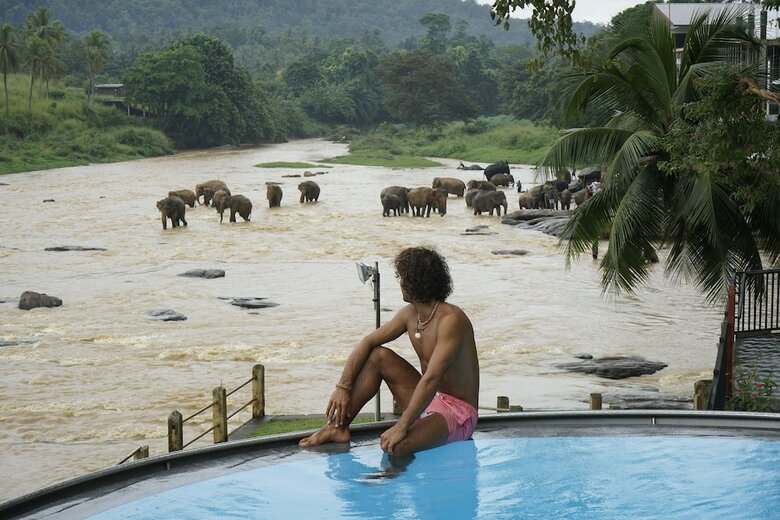 Hotel Elephant Bay
