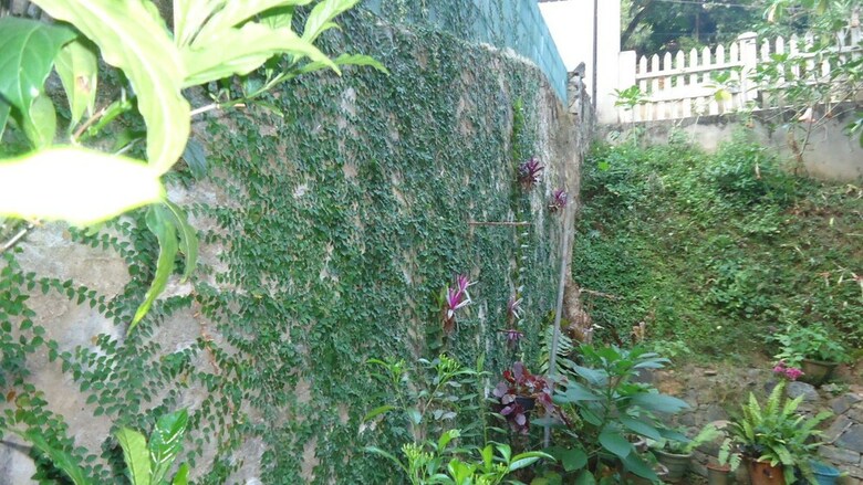 Hotel Resort Beam