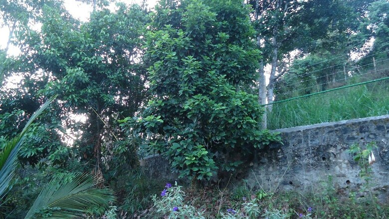 Hotel Resort Beam