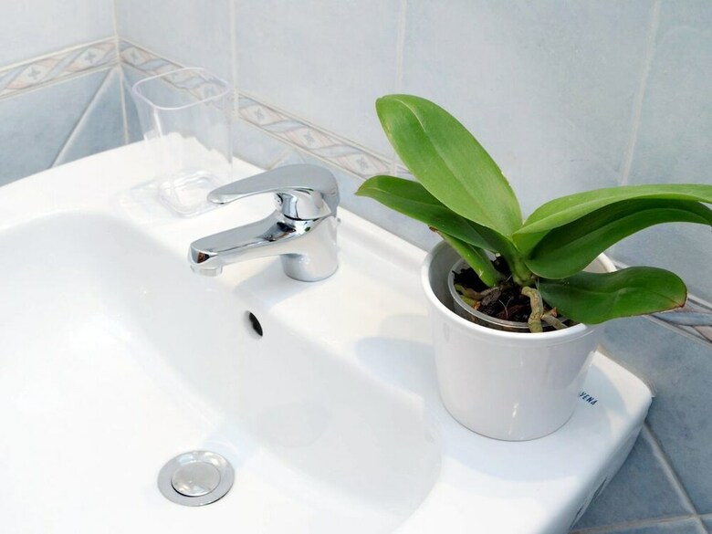Apartamento Holiday Rental San Lorenzo District