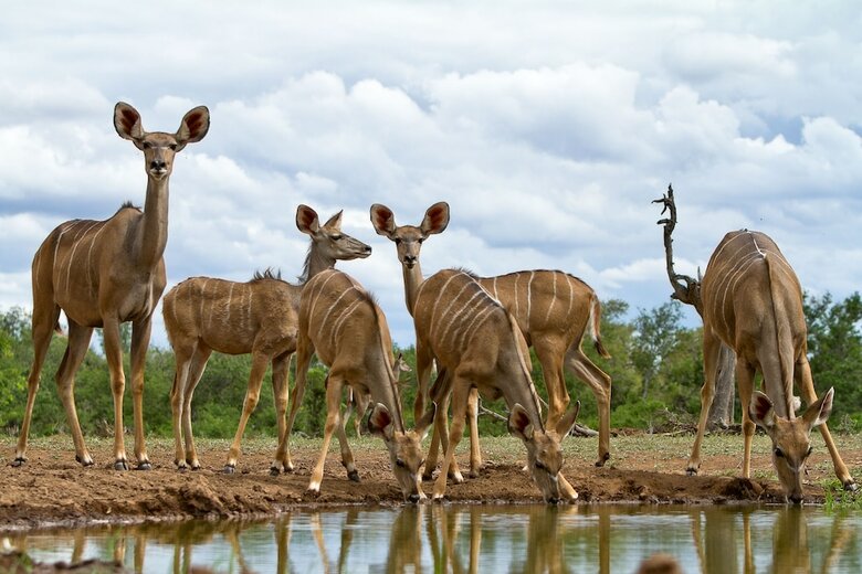 Posada Wildehondekloof