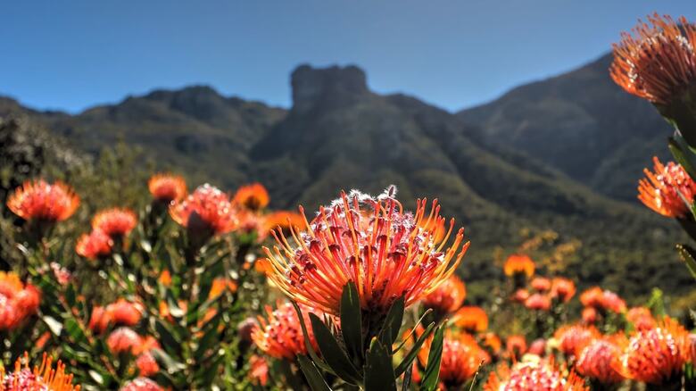 Hout Bay Beach Cottage