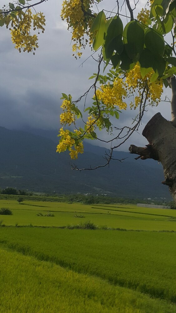 Bed & Breakfast Hualien Pine