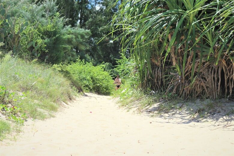 Hostal Under The Coconut Tree