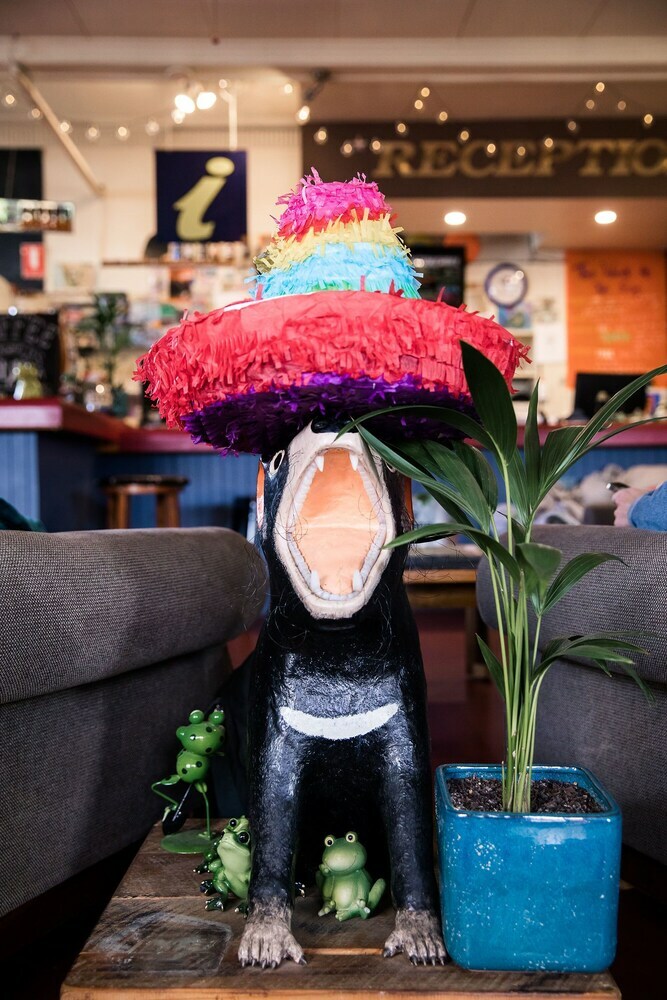 Hostal The Pickled Frog