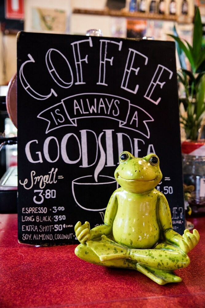 Hostal The Pickled Frog