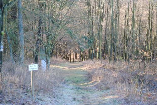Vakantiehuis Ramsbeck