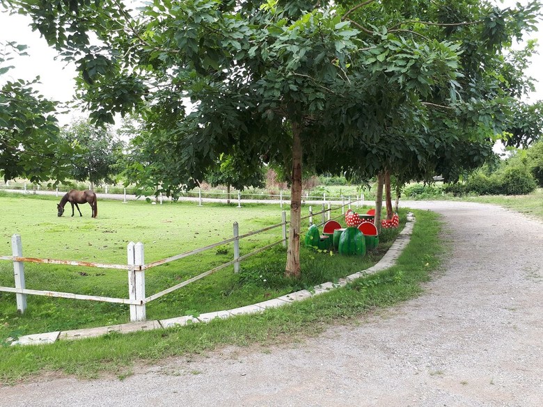 Hotel Rai Phurak Resort