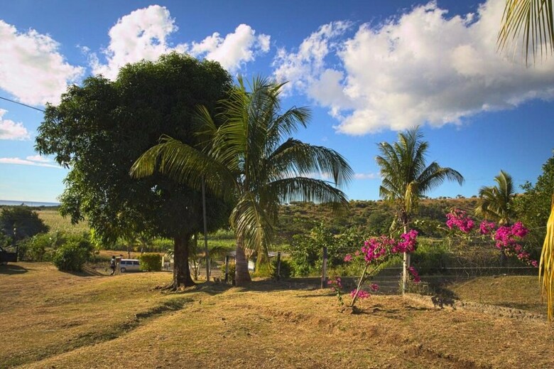 Hostal The Beehive Fiji