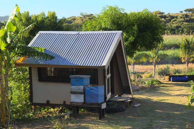 Hostal The Beehive Fiji