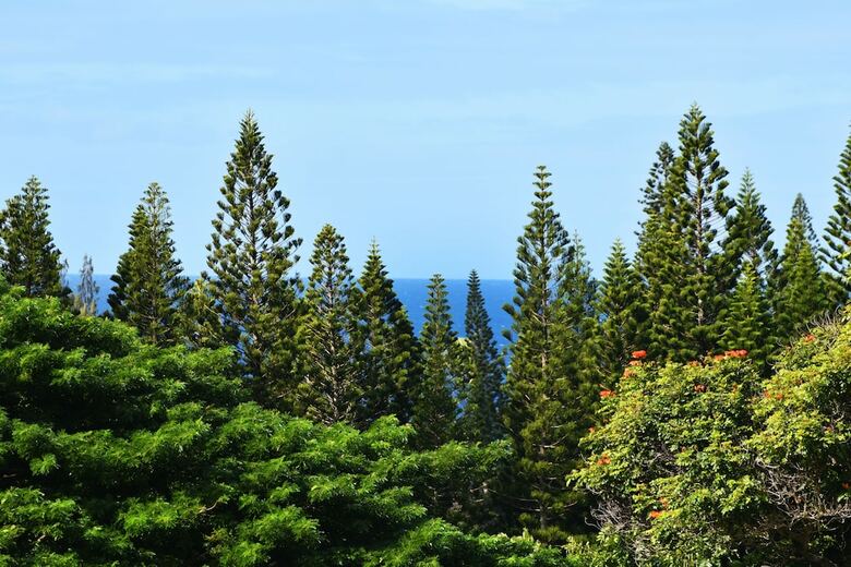 Kapalua Golf Villa 14p7&8 By Redawning