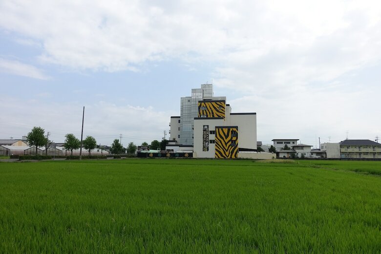 Hotel Tiger And Dragon