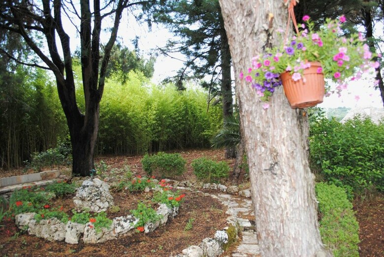 Bed & Breakfast Dimora Romano