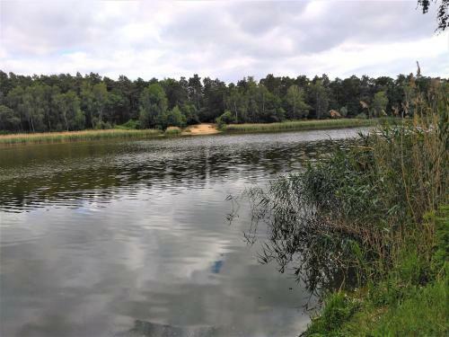Spacious Holiday Home In Sommerfeld Near Lake