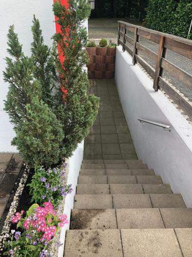 Hostal Privatzimmer Bellevue