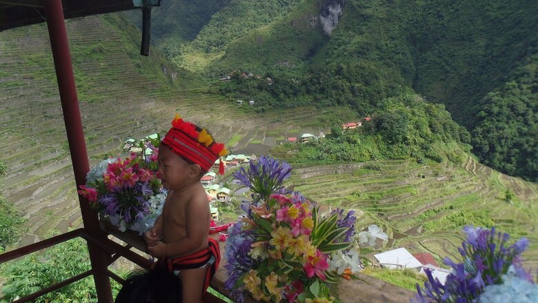 Hotel Batad Transient House