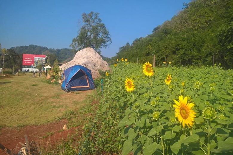 Hotel Rabbit Hill Cafe And Resort @ Khao Yai
