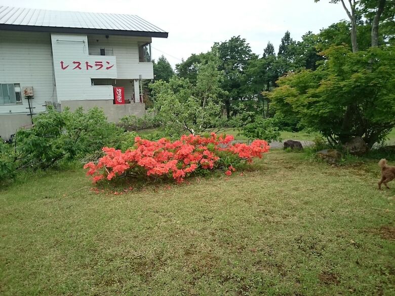 Hotel Edelweiss Akakura