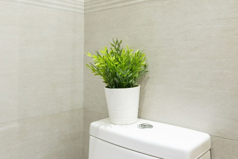 Lovely & Quiet City Center Apartment