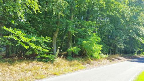 Apartamento Ferienwohnung Strudthoff
