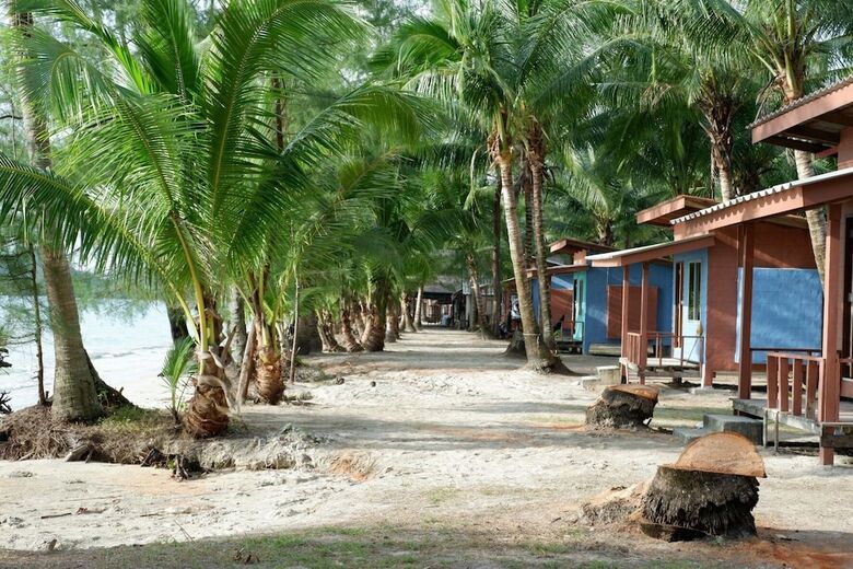 Hotel Tiger Hut