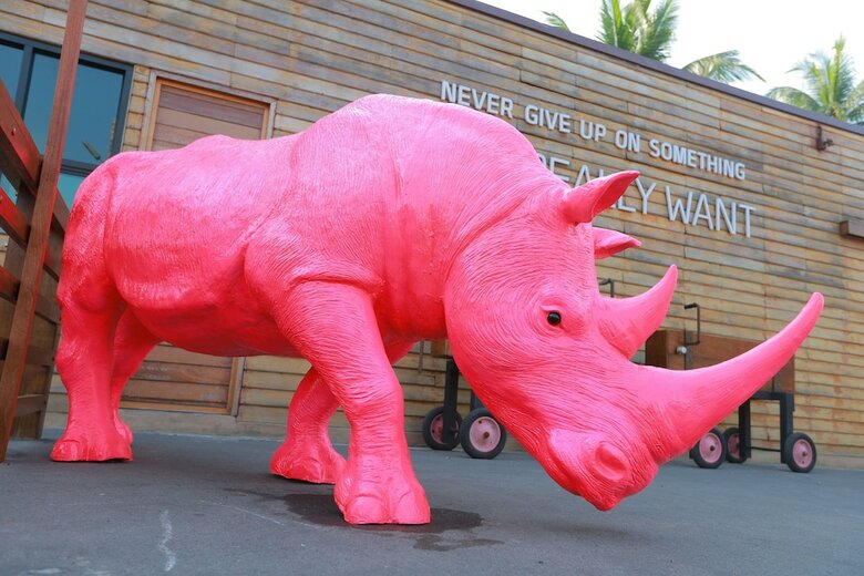 Hotel The Buffalo Amphawa