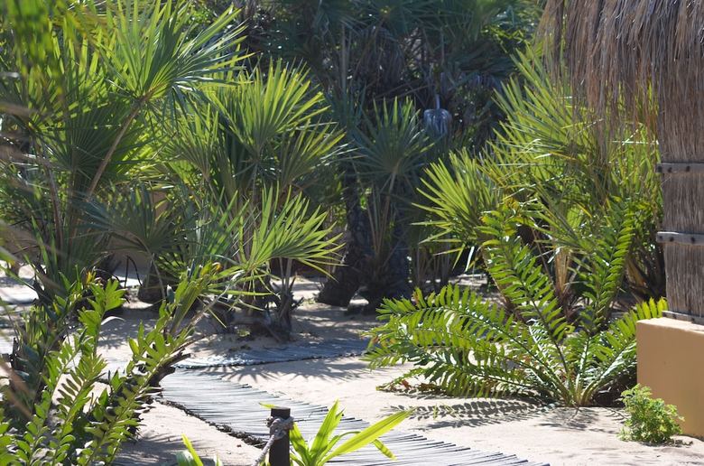 Posada Mango Beach